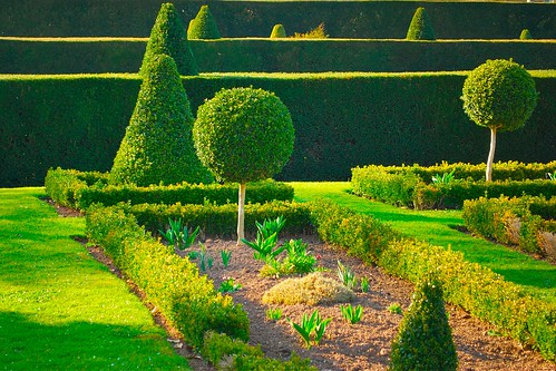 green garden geometry formal nationaltrust instantfave greenscene westburycourt greatphotopro
