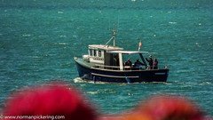Starquest - Marine Wildlife Cruises - Gairloch: 11th July 2014 - 11:39:56