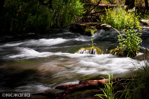california summer sunlight water grass creek nikon shadows hatcreek d90 outdoorphotography tamron1750