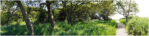 trees panorama panoramic sigma1020mm emsworth a65 norebarnwoods alpha65
