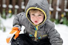 Child portrait in the snow