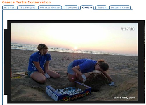 工作假期志工正在檢查海龜的卵窩，圖片來源：Frontier官網