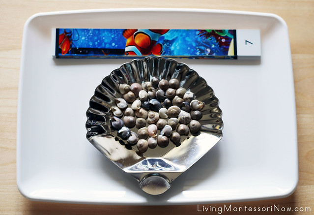 Ocean-Scene Number-Sequence Puzzle and Seashell Counting Tray