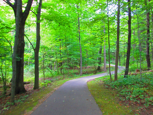 park bikepath woods path michigan trail pathway biketrail addisontownship addisonoakscountypark