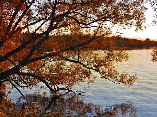 autumn sunset ontario canada fall seasons richmondhill fallcolours oakridgesmoraine lakewilcox lakewilcoxpark