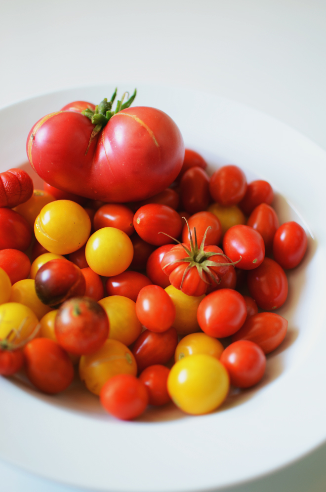 tomatoes '14
