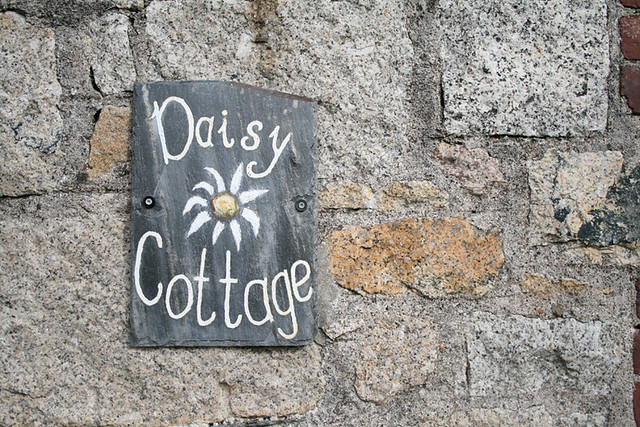 daisy cottage