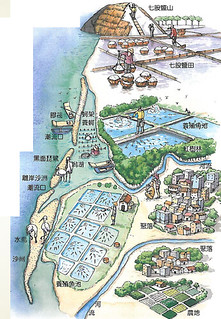 西岸沿海生態樣貌(圖片來源：台灣濕地保護聯盟)