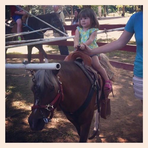 Pony riding at the agriculture museum.