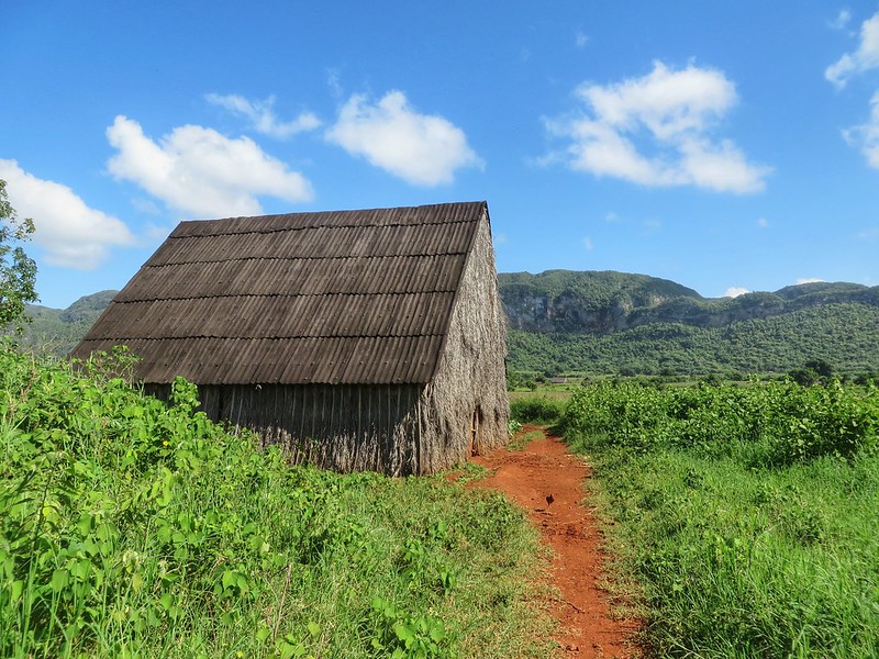A smokehouse for drying tobacco in Viñales, Cuba