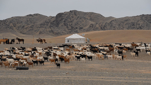 landscape mongolia d200 mongolei ömnögobi