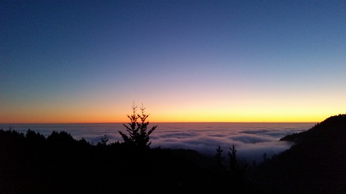 california sunset fog humboldt rchan415 sheltercoverchan415