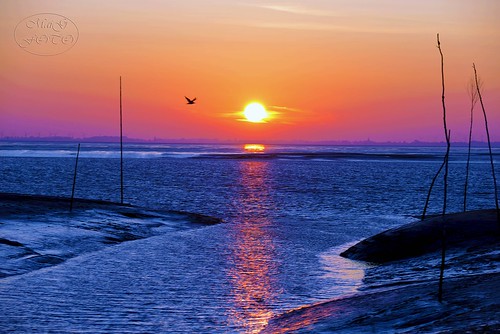seascape sunrise landscape nordsee sonnenaufgang d800 morningmood nordseeküste butjadingen fedderwardersiel nikond800