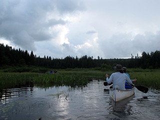 Algonquin Canoe Trip