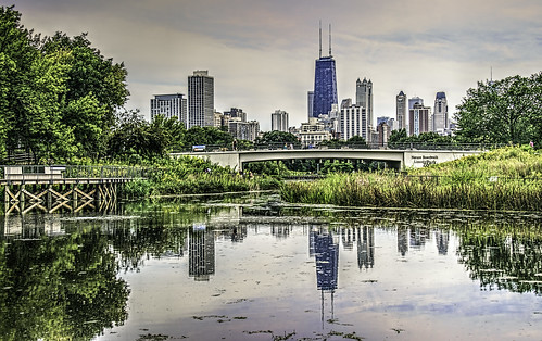 trees chicago nature reflections illinois bridges skylines ponds lincolnparkzoo boardwalks hcs tonemapping tonemap nikkor18300mm clichesaturday