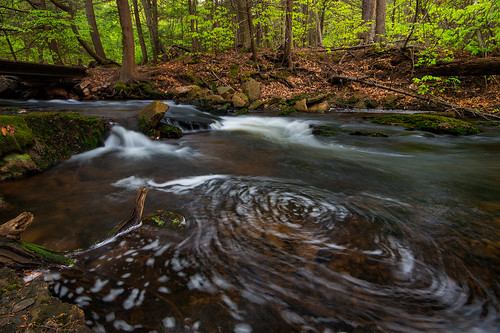 water forest landscape spring nikon pennsylvania pa waterfalls d800 rickettsglen stateparks nikond800