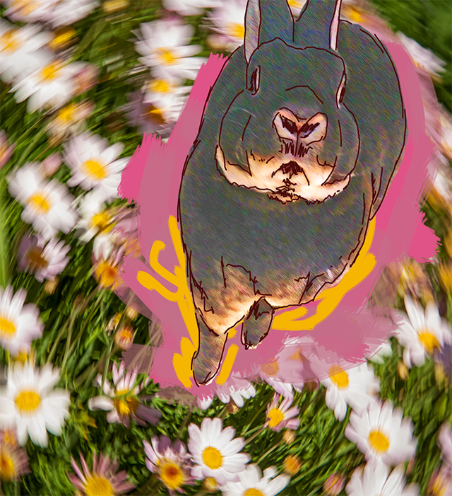 quizzical black rabbit looking up at the camera, floral daisy vortex