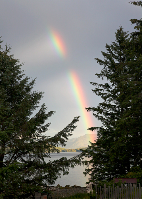 rainbow between trees over Kasaan Bay, Alaska