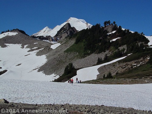 Following my group down a snowfield on the Ptarmigan Ridge Trail, Mt. Baker-Snoqualmie National Forest, Washington