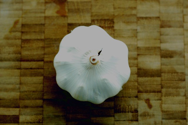 A head of garlic by Eve Fox, the Garden of Eating, copyright 2014