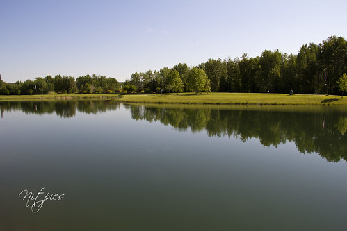 park reflection green pond