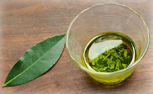 make-a-bay-leaf-tincture-against-rheumatism-overstretched-tendons-and-muscles-muscle-pains-misaligned-joints-and-paralyzed-limbs