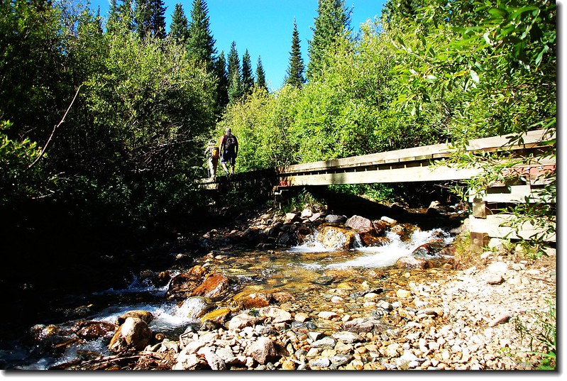 Wood bridge across the creek
