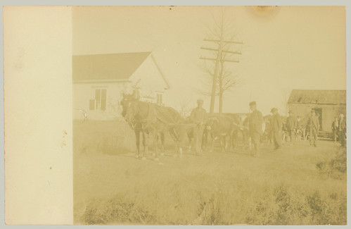 Group with horses