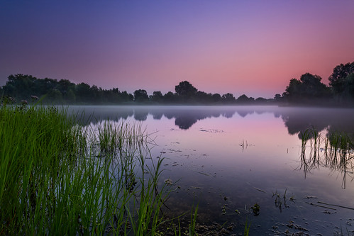 morning sunset lake fog see wasser nebel idyll kassel idylle buga