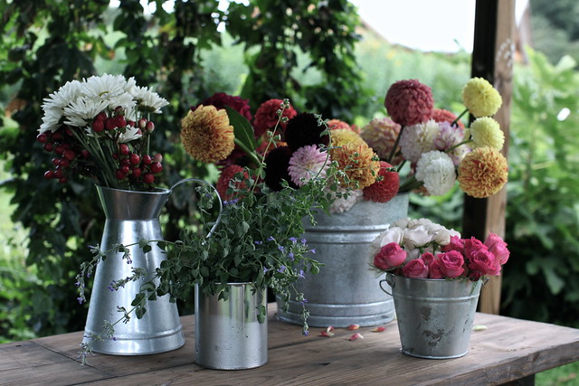 Summer Gathering: Florals
