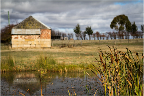 autumn cold water clouds barn rural creek reeds gold bush warm wind country shed ruin australia tasmania whisky distillery regional relic nant catttails