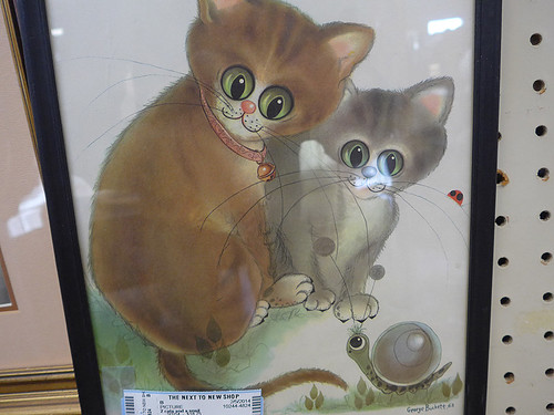 Today there will be big-eyed kittens.