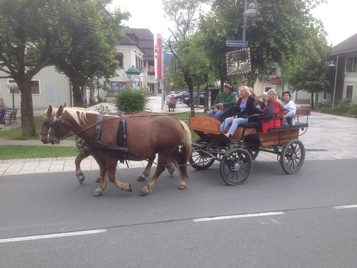 road travel summer horse mountains look austria scenery carriage view crystal district watch lakes course route thomson passenger cart region circuit trap fuschl salzkammergut fuschlsee