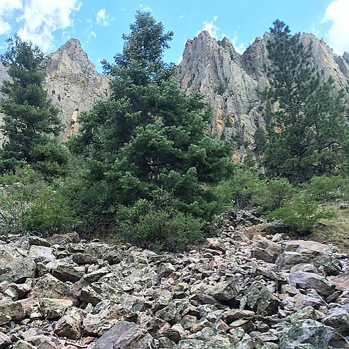 trees usa newmexico stone pine square outdoors rocks hiking walk north rocky hike cliffs valley squareformat scree geography geology stroll chama iphoneography instagramapp uploaded:by=instagram