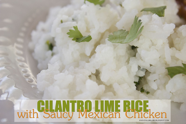 Cilantro Lime Rice with Saucy Mexican Chicken