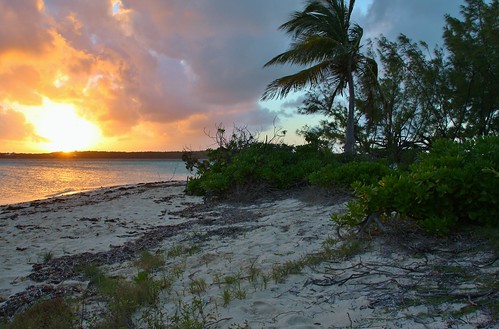 sunset island high dynamic palm elbow bahamas range cay hdr