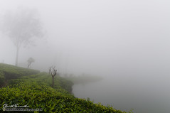 Misty Sembuwatta Lake -Sri Lanka