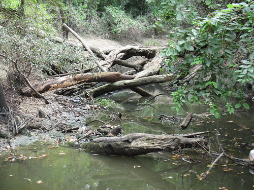 Ward Creek tributary at Airline Highway Park