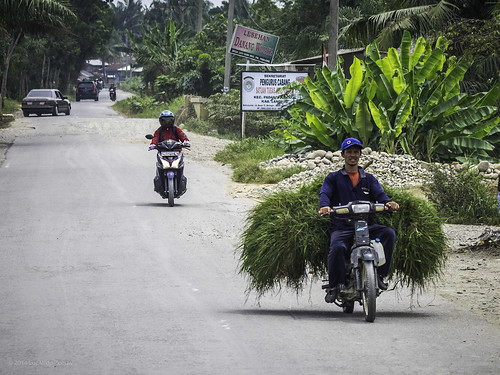 indonesia transport motorcycle gras motor northsumatra langkat