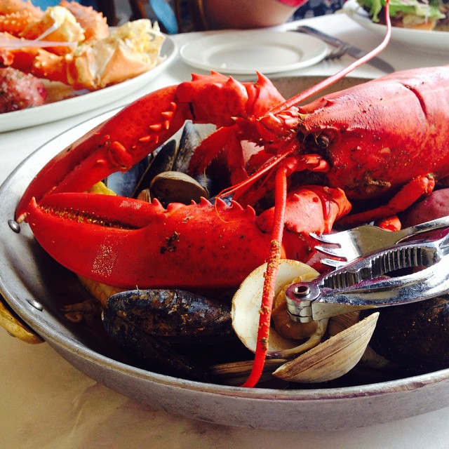 #lobster #lunch #dinearounddisney2014 #tppb