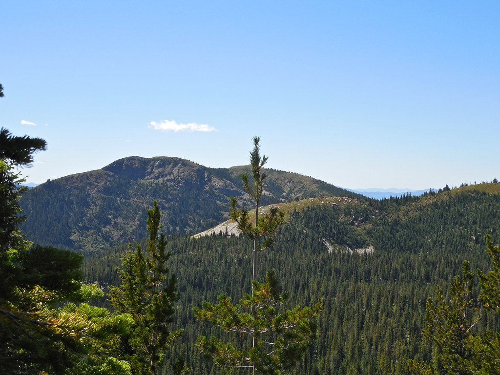 Trail 63: Baree Mountain: Cabinet Mountains Wilderness