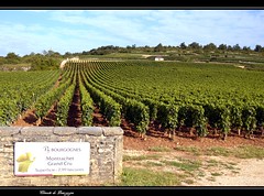 Les Climats du Vignoble de Bourgogne - UNESCO World Heritage - Photo of Chassey-le-Camp