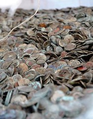 Chinese scrap coins