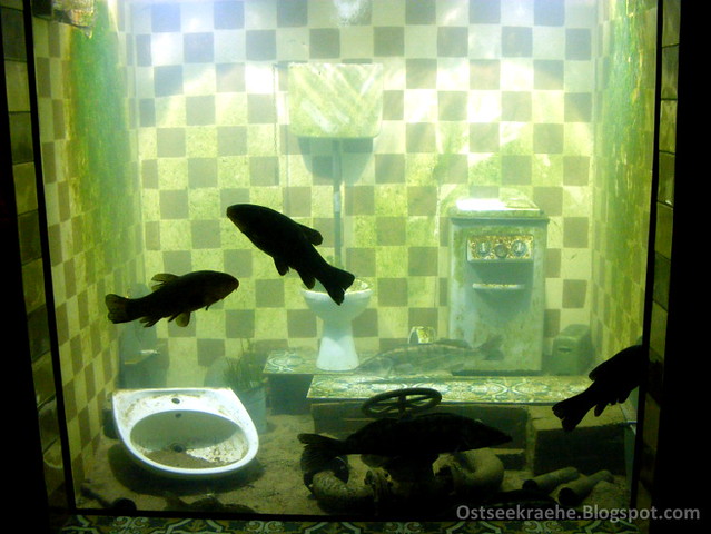 Aquarium 01