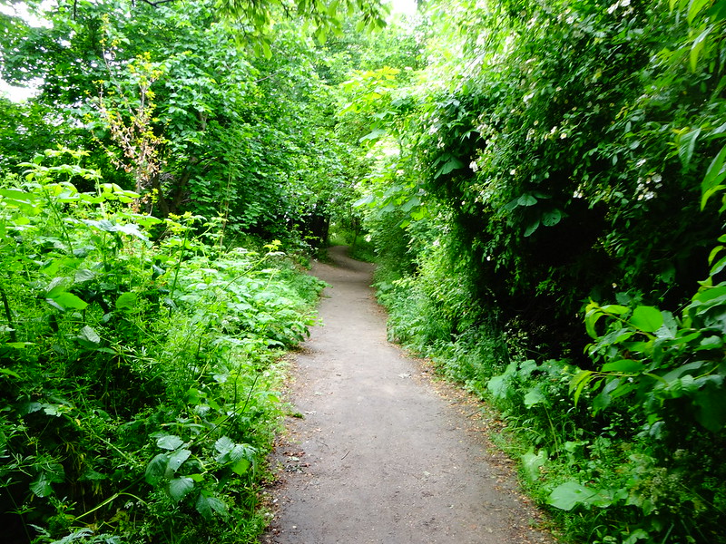Forest path in Christiana