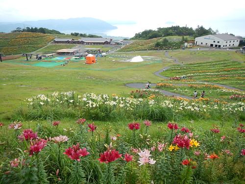 箱館山ゆり園