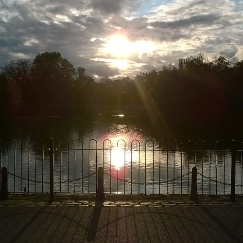 Sunset by the pond
