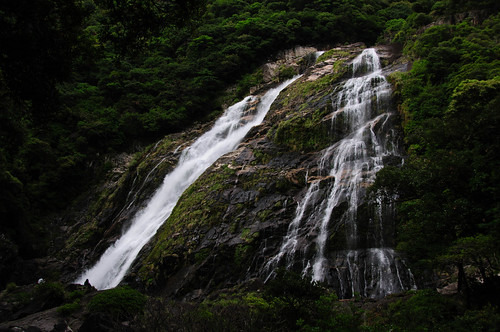 travel nature japan waterfall nikon asia 日本 yakushima 自然 風景 屋久島 アジア d300s mrgniqq