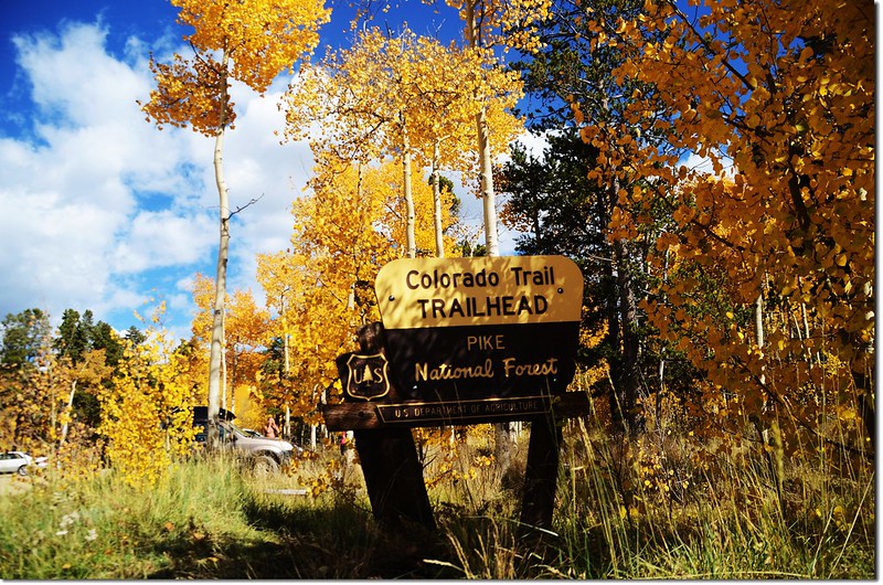 2014 Fall Colors at Kenosha Pass,Colorado (49)