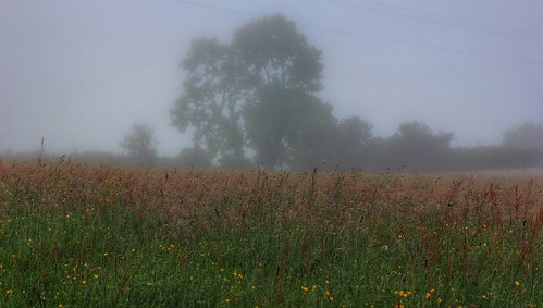 mist weather misty fog graig northwales mistymorning canonefs60mm glanconwy bbcwalesnature canoneos550d originalfilter ashperkins uploaded:by=flickrmobile flickriosapp:filter=original